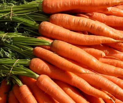  время собирать урожай, сохранить морковь до весны