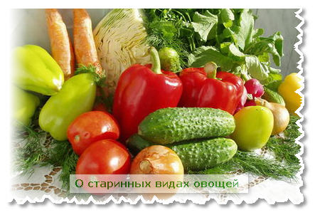 О видах овощей