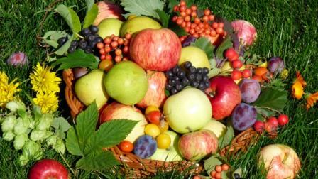 хранение урожая, ценность плодов